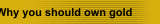 Why you should own gold